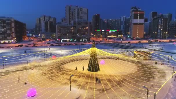 크리스마스 트리와 요정 조명 밤 겨울 공원 공중 — 비디오