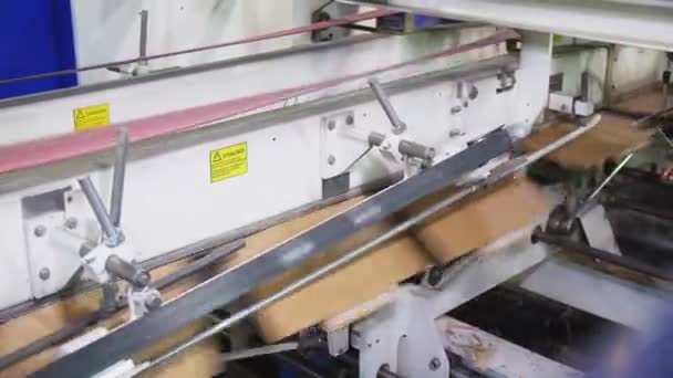 Производственная линия транспортирует картон через режущий инструмент — стоковое видео