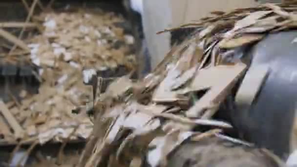 Déchets de carton transportés dans un atelier de recyclage — Video