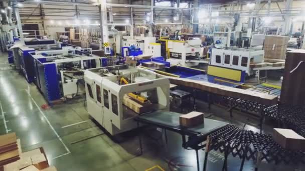 Gyártósorral a gyárnál szállított kartondobozok — Stock videók