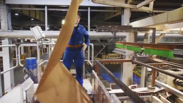 Çalışan modern atölyede yeni kahverengi kağıt levha kontrol — Stok video
