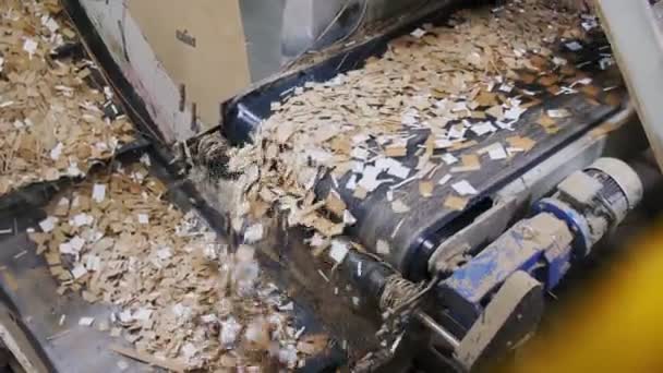 工場の生産ラインのコンベアから古紙が注ぐ — ストック動画