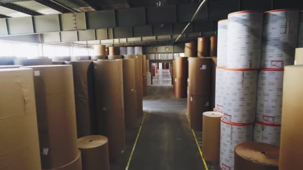 Movimento ao longo da passagem entre rolos de papel no armazenamento de fábrica — Vídeo de Stock