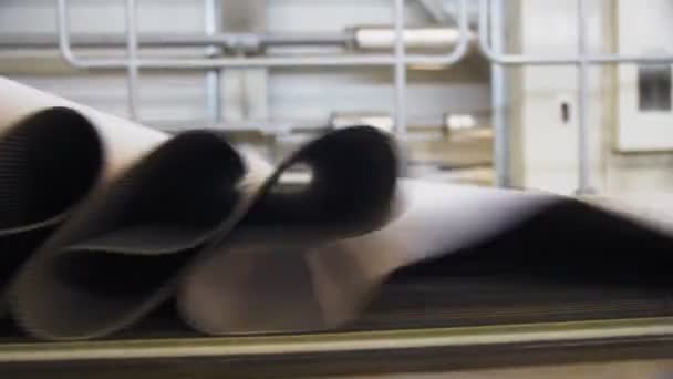 Картонная бумага на конвейере в ярко освещенном цехе завода — стоковое видео