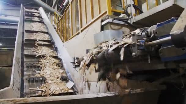 Déchets de papier transportés par convoyeurs dans un atelier de recyclage — Video