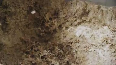 wastepaper sıcak sıvı selüloz yavaş hareket içine düşüyor