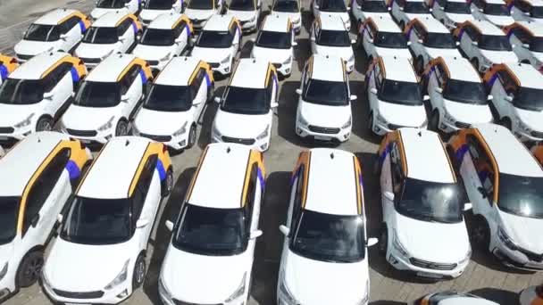Движение над автомобилями для аренды Яндекса на парковке — стоковое видео