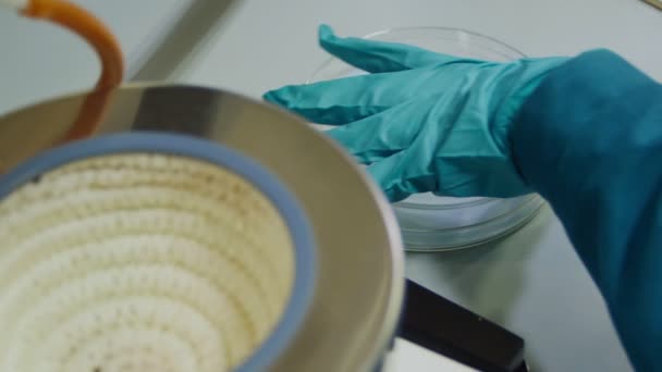 assistant prend feuille de boîte de Pétri à table gros plan 