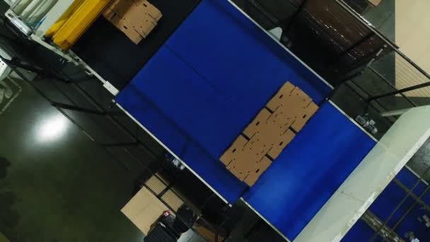 Kartonnen dozen die van bovenaf per transportband worden vervoerd — Stockvideo