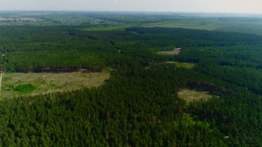 Gökyüzünün altında açık gökyüzü altında her zaman yeşil bir orman.