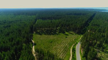 Çam ormanı, güneşli bir günde açıklık ve otoyol manzaralı