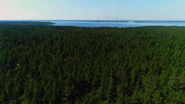 Bosque siempreverde salvaje cerca de gran calma vista superior del río azul — Vídeos de Stock