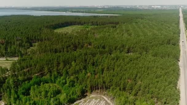 Bosque denso de pinos atravesado por carretera y vistas aéreas de los claros — Vídeos de Stock