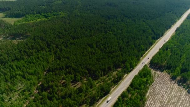Los coches conducen a lo largo de carretera cruzando vista aérea del bosque de pino viejo — Vídeos de Stock