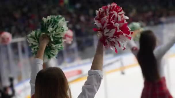 Pompomlányok pompom tánccal támogatják a hokijátékosokat — Stock videók