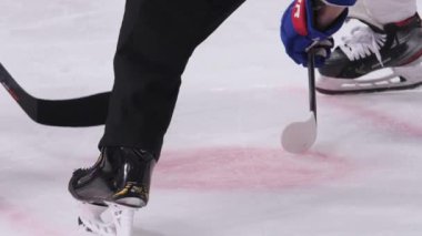Hakem hokey müsabakasına başlamak için puck 'ı sahaya koydu