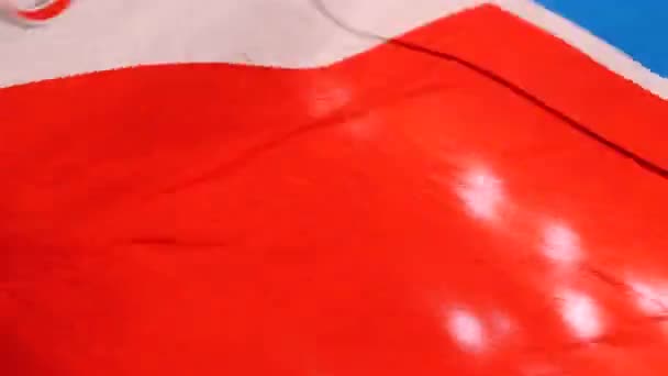 Warna-warni flag dengan tim hoki simbol melambai di atas arena — Stok Video