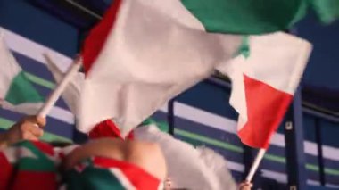 İnsanlar oyuncuları desteklemek için hokey takımı renginde bayraklar sallıyor