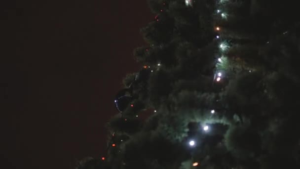 Hermoso árbol de Navidad con luces de hadas brillantes en la calle — Vídeos de Stock