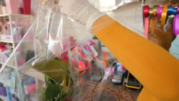 Florist i handskar wraps krukväxter med folie i butiken — Stockvideo