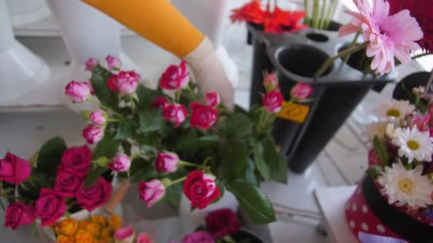 Donna prende fiori di rosa rosa dal vaso nel negozio di fiori — Video Stock