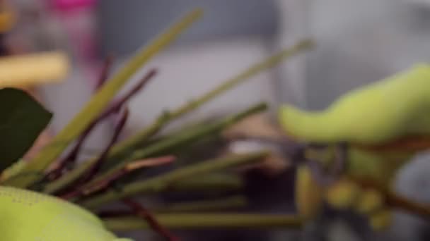 Florist cuts stems with garden pruner making festive bouquet — Stock Video