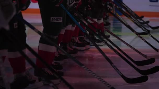 Professionele hockeyspelers met stokken staan op de ijsbaan — Stockvideo