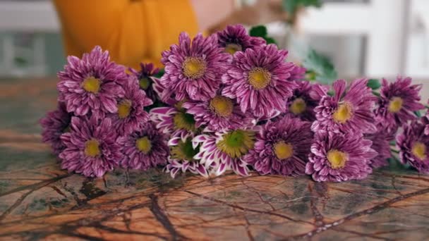 Florist sätter rosa krysantemum till färska lila blommor — Stockvideo
