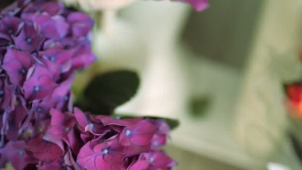 Florista hace ramo usando flores de hortensias púrpuras frescas — Vídeos de Stock