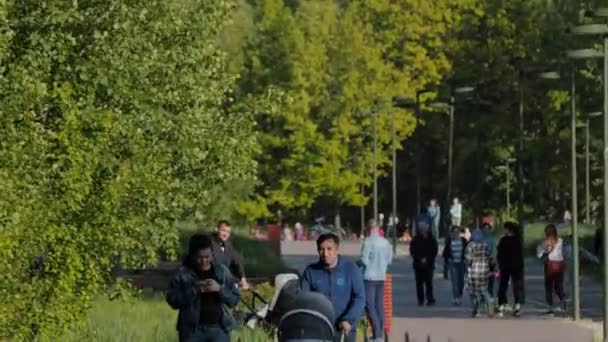 Esposa com telefone e marido com bebê buggy passeio ao longo do parque — Vídeo de Stock