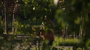 Sırt çantalı genç adam yeşil güneşli park boyunca scooter sürüyor.