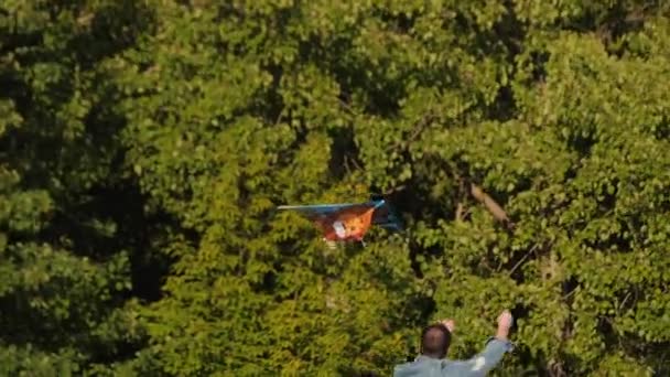 Father in jacket flies kite with little son on green meadow — Stock Video