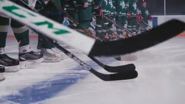Hockeyspelers in groen uniform met stokken staan op arena — Stockvideo