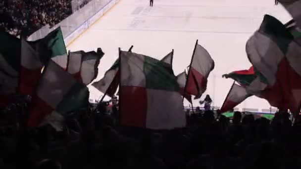 Färgglada flaggor med laget logotyp vinkade av fans på stadion — Stockvideo