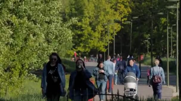 Junge Familie mit Kinderwagen läuft Straße im Park entlang — Stockvideo