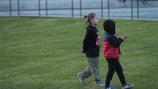 Petits enfants et père jouer avec cerf-volant sur prairie dans le parc — Video