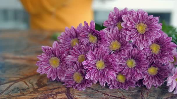 Floristería pone flores de crisantemo para hacer ramo en la mesa — Vídeo de stock