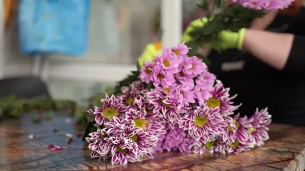 Mujer pone flores de crisantemo púrpura en la mesa marrón — Vídeo de stock