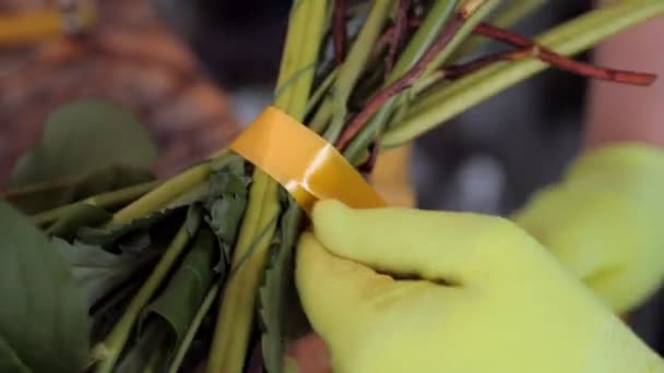 Florist ties flower bouquet with golden ribbon in shop — Stock Video