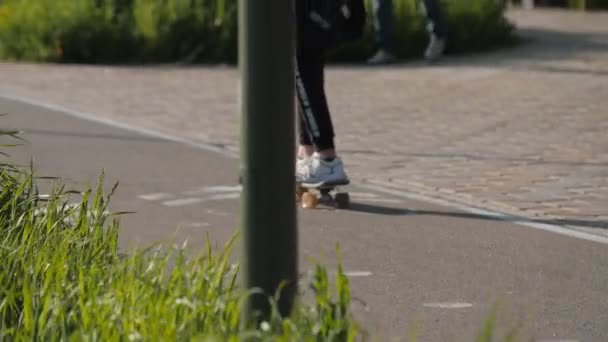 Adolescente menina passeios de skate ao longo pista passar tempo no parque — Vídeo de Stock