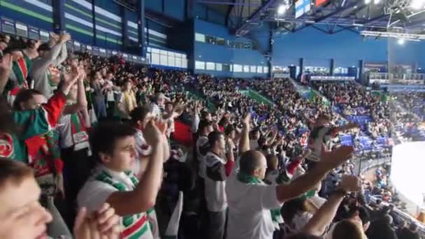 Sports fans with leader clap hands enjoying hockey game — Stock Video