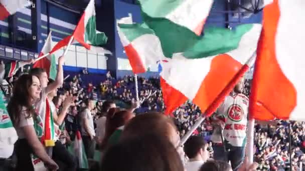 Menge glücklicher Menschen mit Fahnen der Eishockeymannschaft im Stadion — Stockvideo