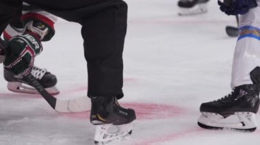 Yargıç, hokey maçına başlamak için paten sahasına puck koydu.