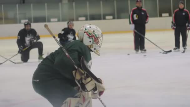Вратарь хоккея в маске с палкой защищает ворота на катке — стоковое видео