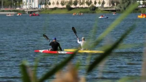 Los atletas reman pequeñas canoas con remos a lo largo del tranquilo lago — Vídeos de Stock