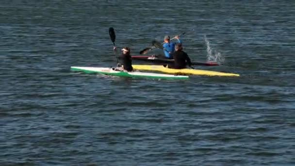 Mujeres fila deportes canoas con paletas a lo largo de río tranquilo — Vídeos de Stock