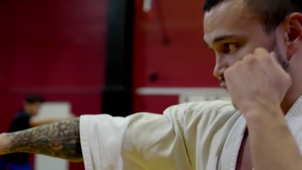 Maestro de karate muestra huelga de puño en amplio gimnasio en el entrenamiento — Vídeos de Stock