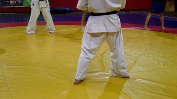 Deportista barbudo explica movimientos de karate a los estudiantes en el gimnasio — Vídeos de Stock