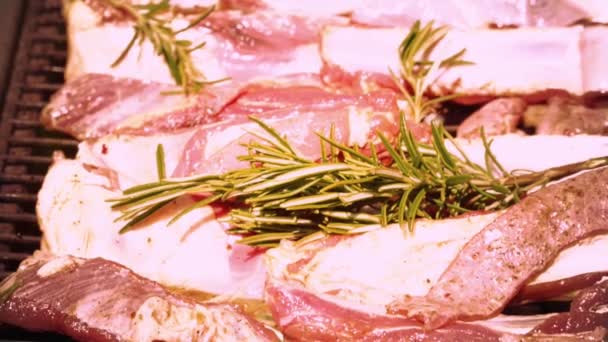 Meat Lamb Grill Rosemary Pepper Salt — Stock Video