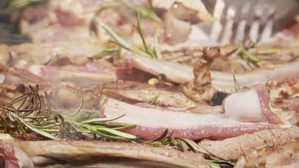 Meat Lamb Grill Rosemary Pepper Salt — Stock Video